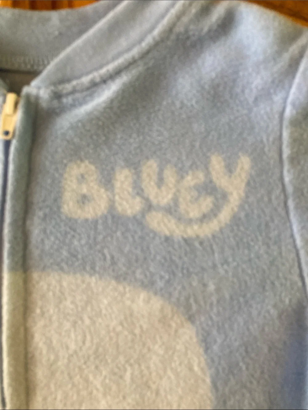 Kids Bluey one piece pajamas size 2T